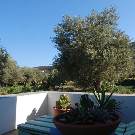 Villa Perivoli Platis Gialos  Dış mekan fotoğraf