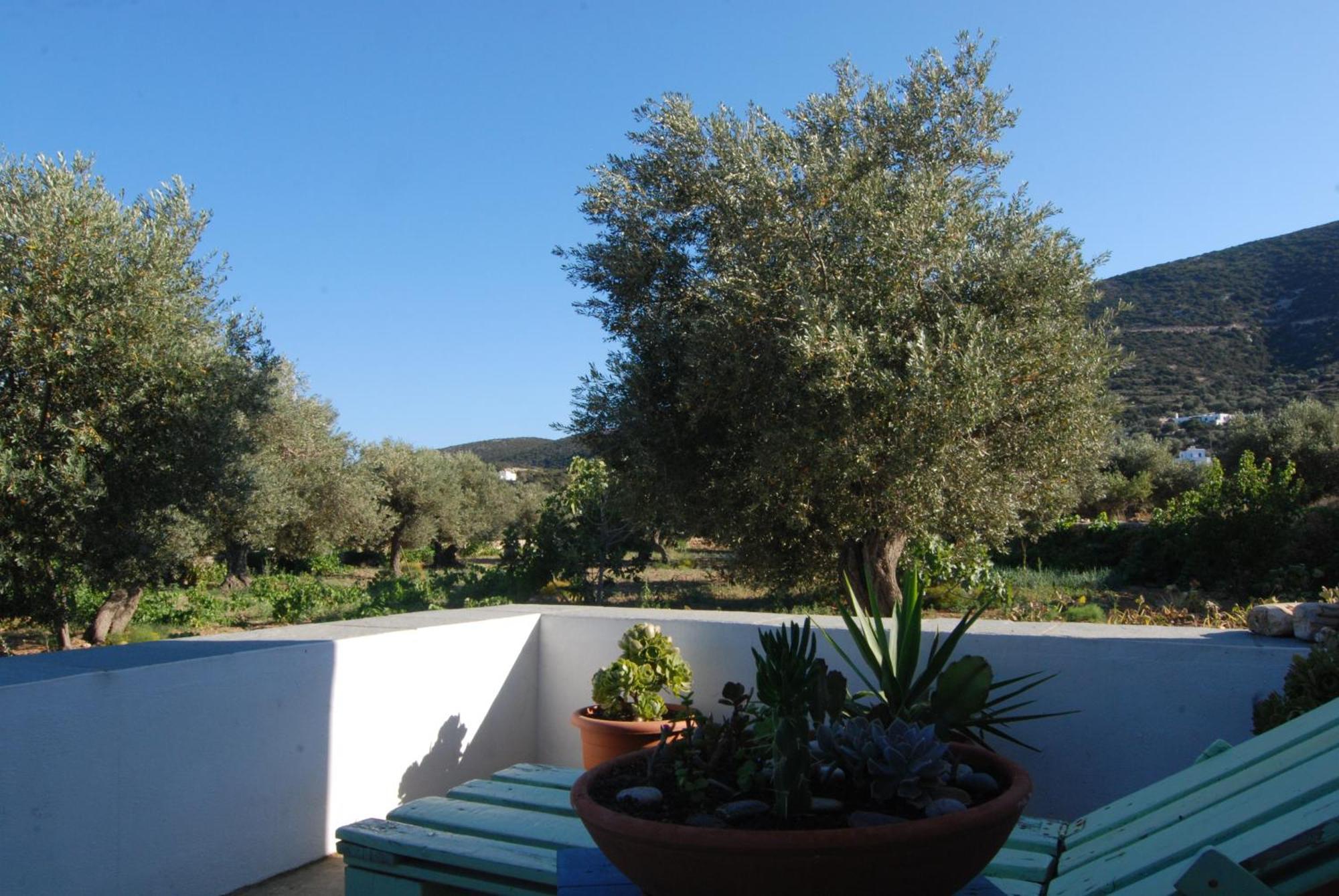 Villa Perivoli Platis Gialos  Dış mekan fotoğraf