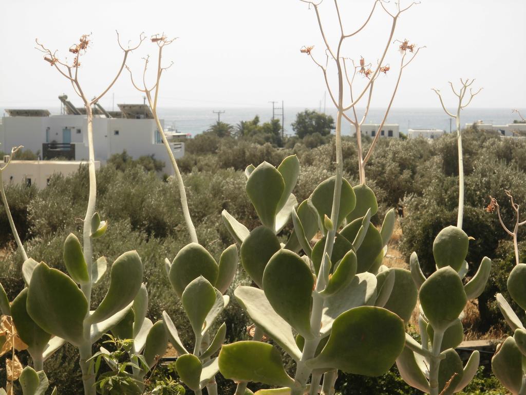 Villa Perivoli Platis Gialos  Dış mekan fotoğraf